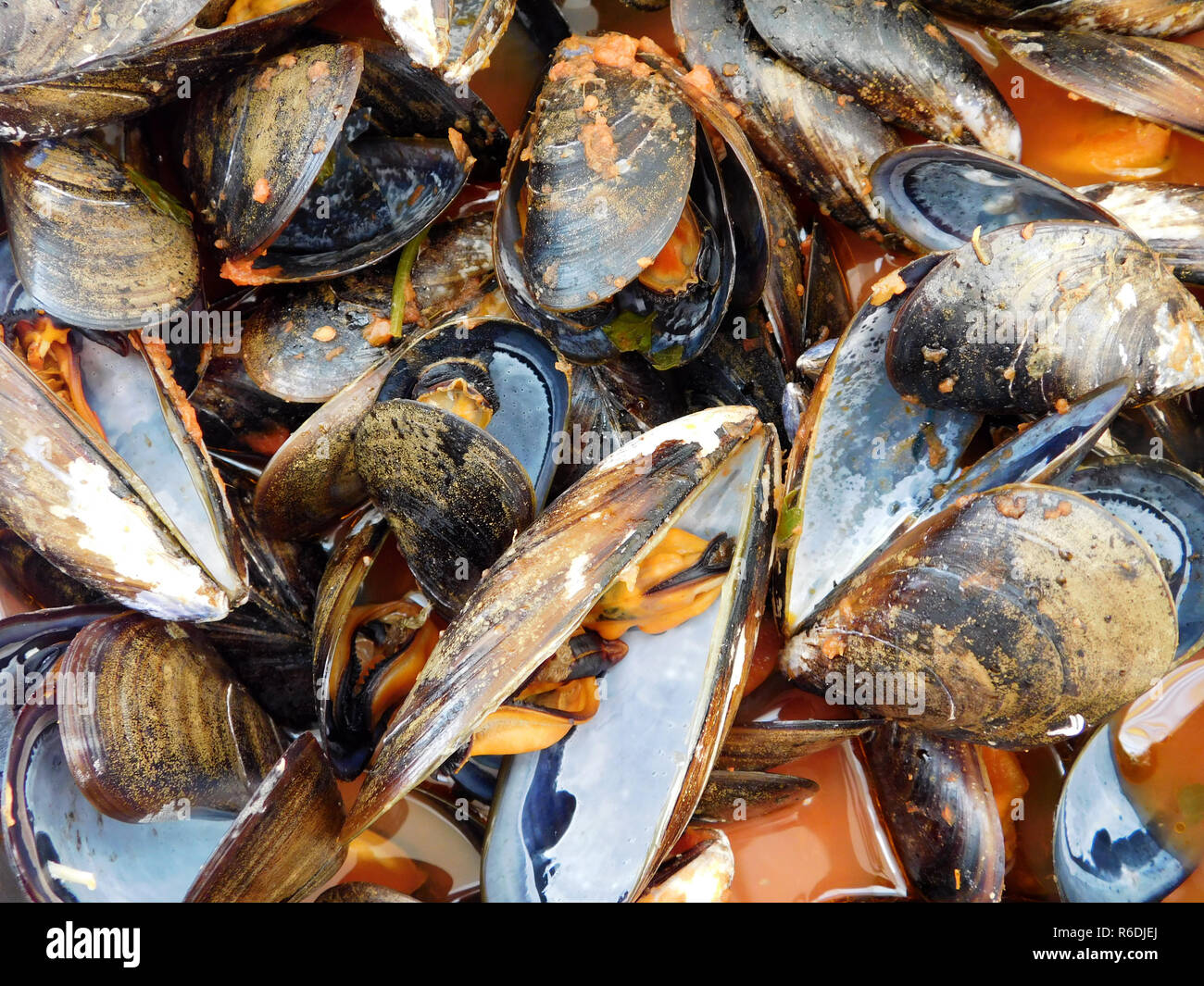 texture of mussels Stock Photo Alamy