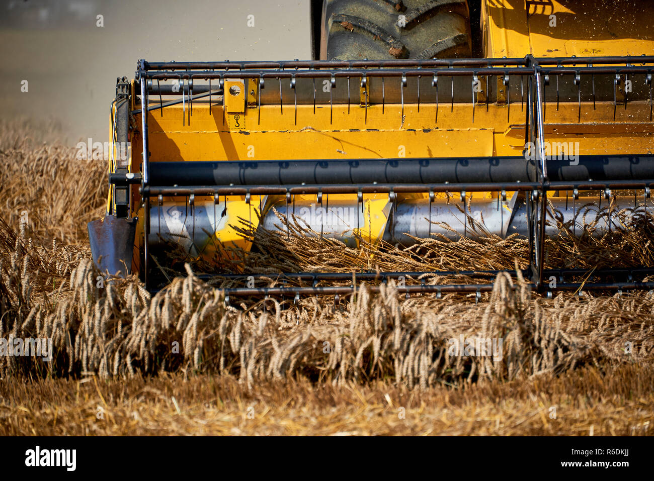 Mähwerk Eines Mähdreschers Im Einsatz Auf Dem Feld Stock Photo