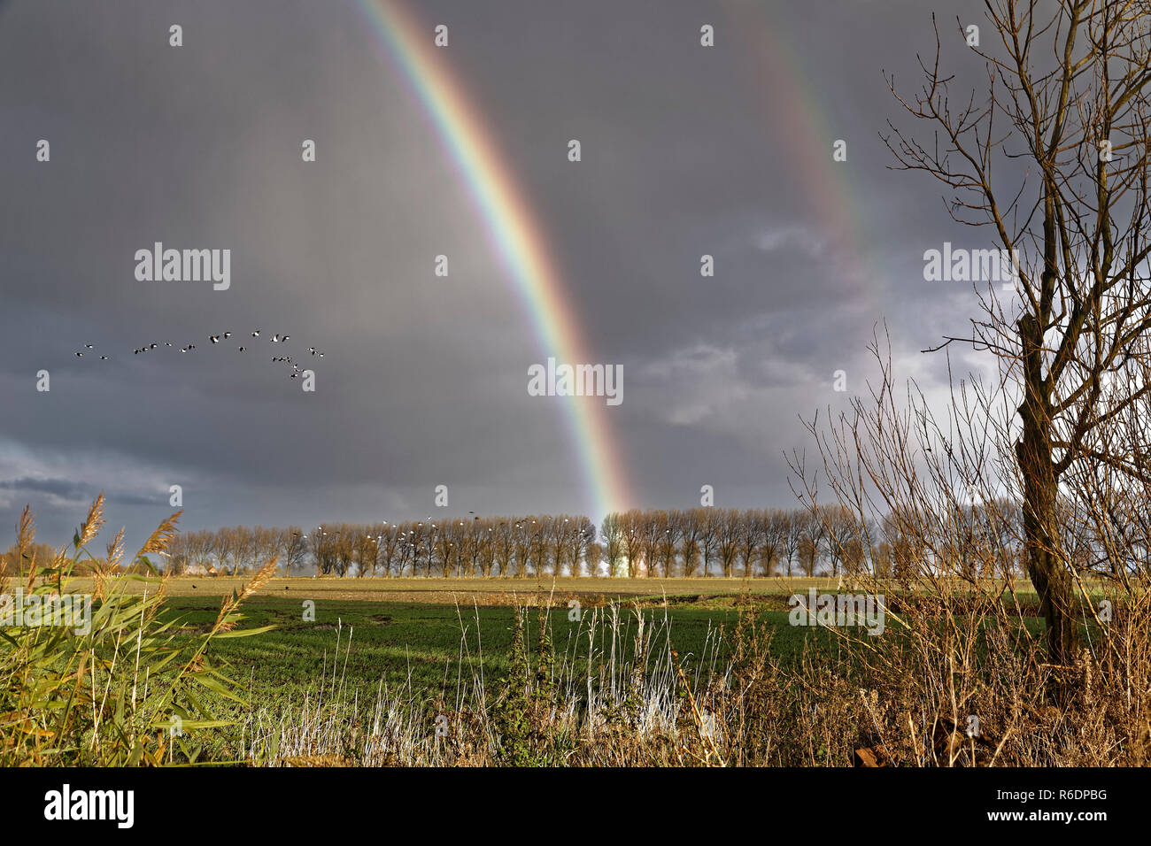 rainbow in the fall Stock Photo