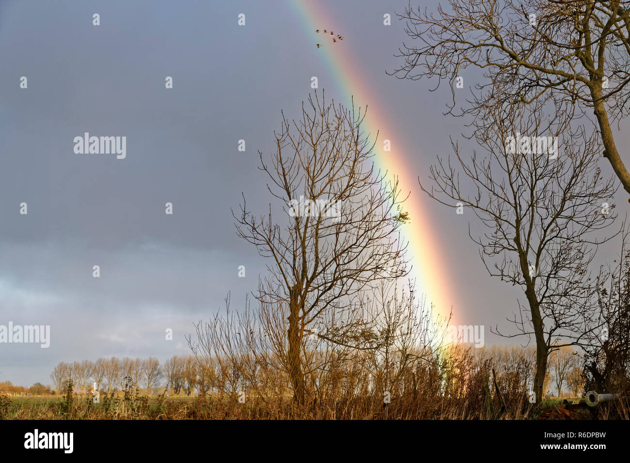 rainbow in the fall Stock Photo