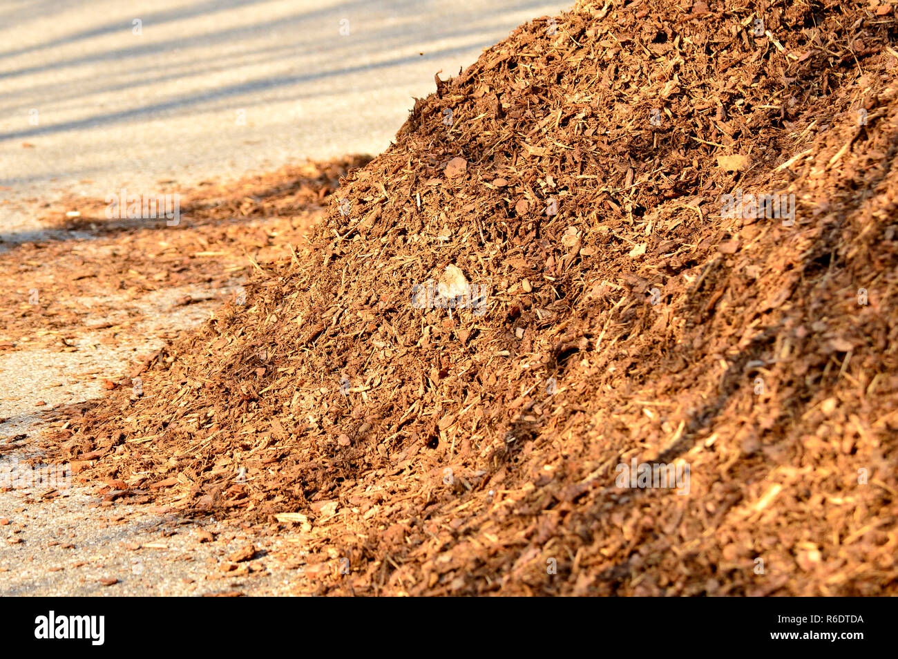 Bark Mulch Stock Photo