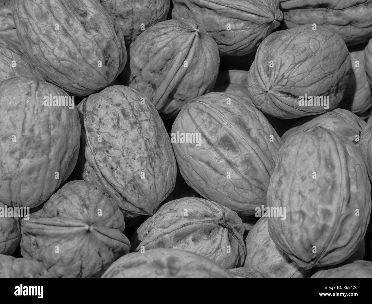 walnuts with shell Stock Photo