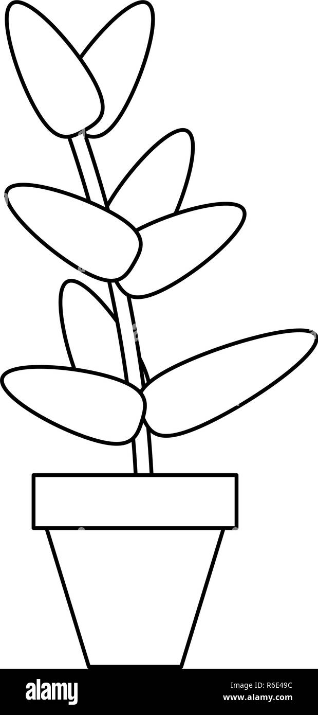 Plant pot isolated black and white Stock Vector