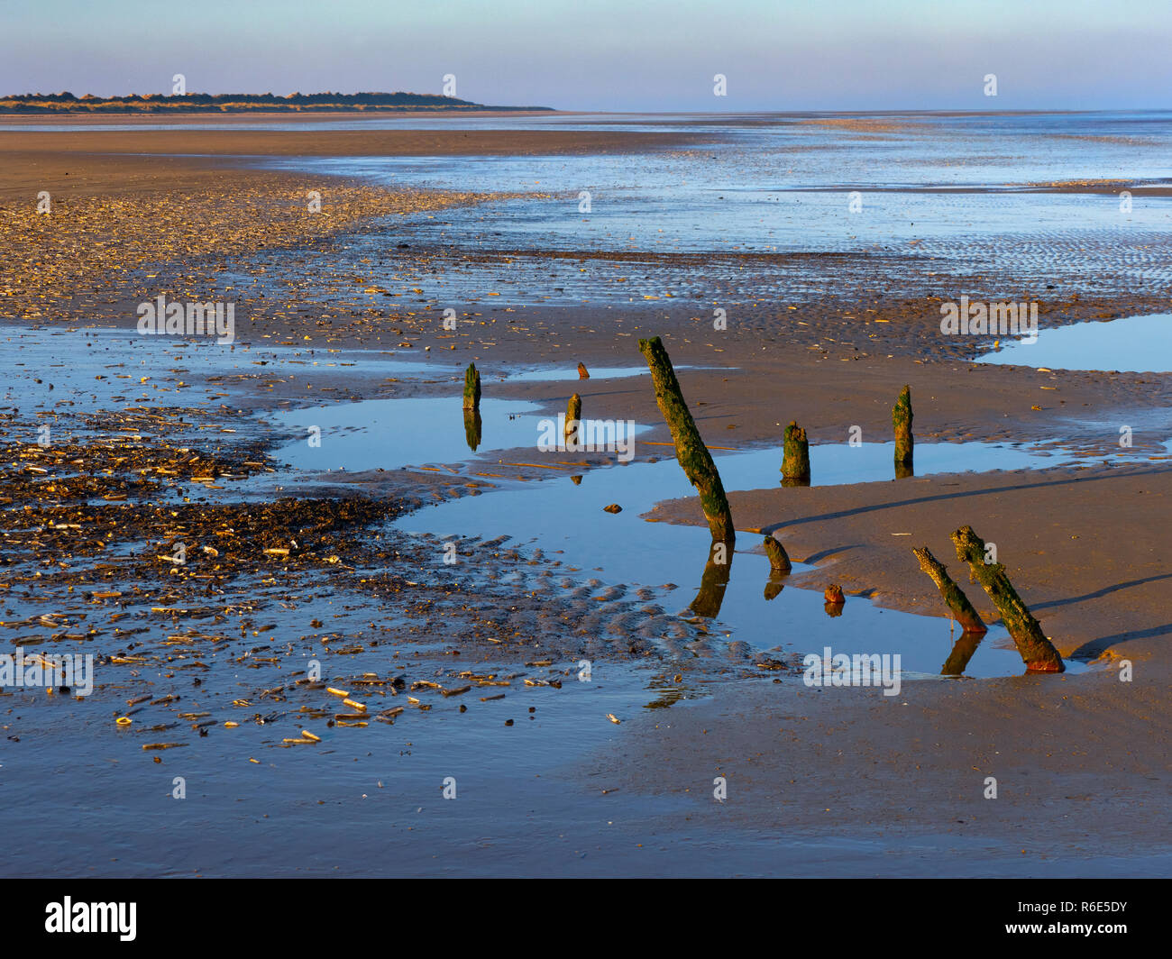 The RSPB Nature reserve and beach at Titchwell Marsh Norfolk Stock Photo