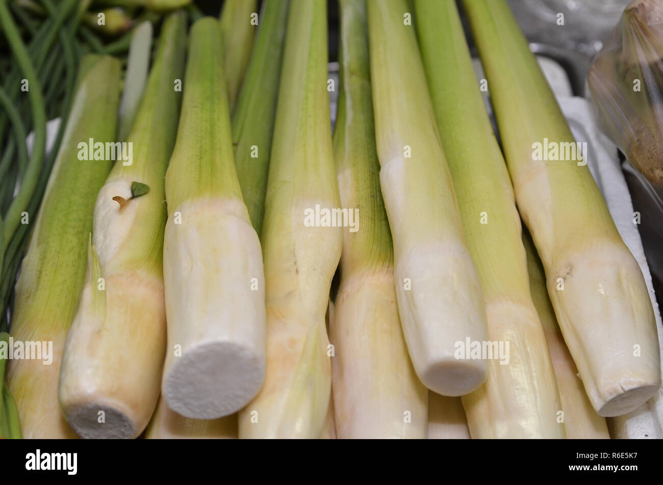 Fresh water bamboo shoot sold Stock Photo Alamy