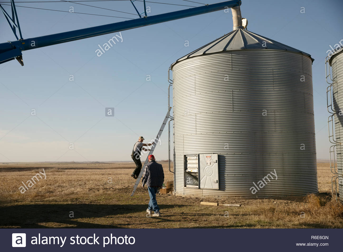 Farmer climbing silo ladder on sunny farm Stock Photo - Alamy