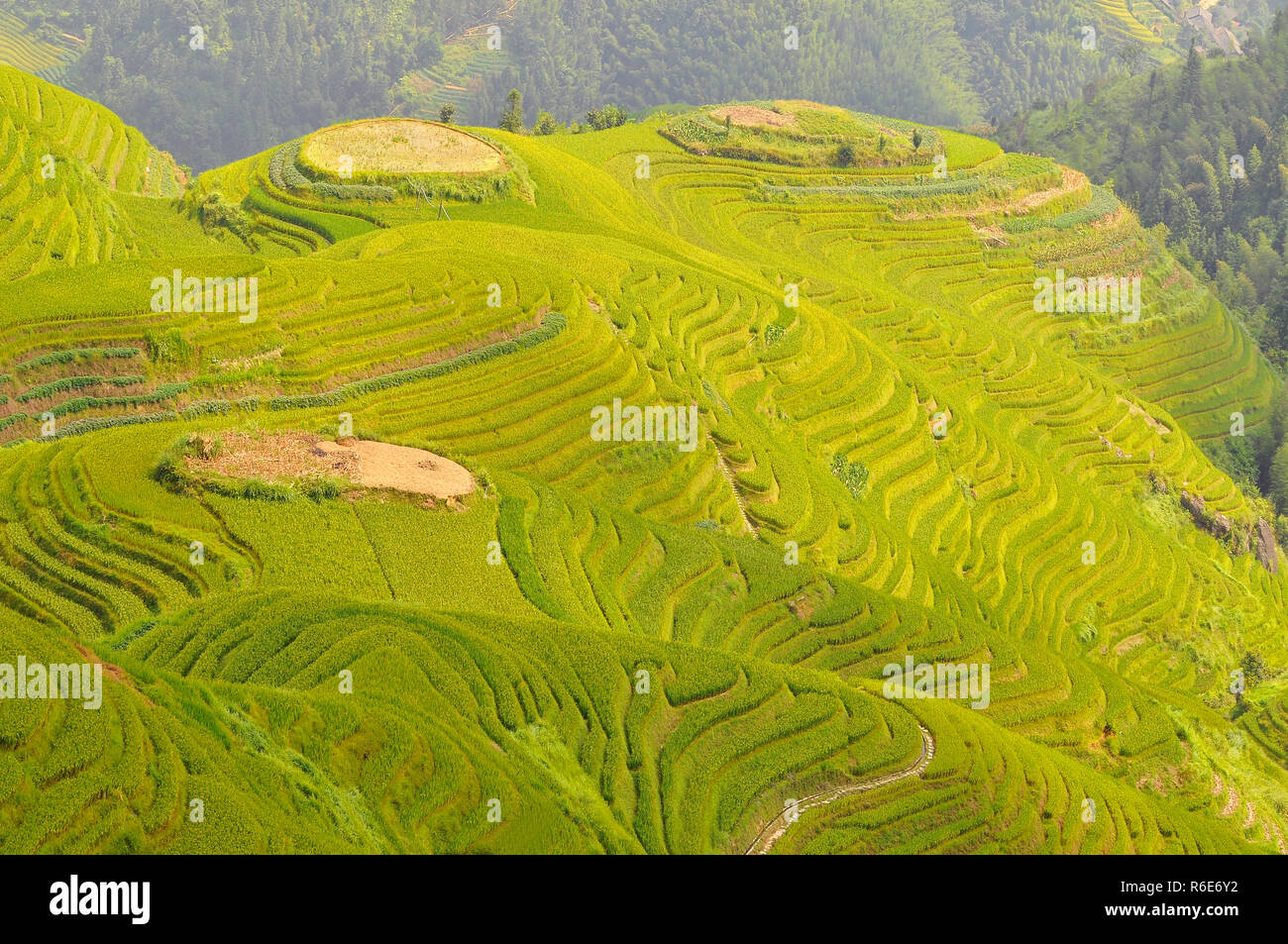 Longji rice terraces dazhai village hi-res stock photography and images ...