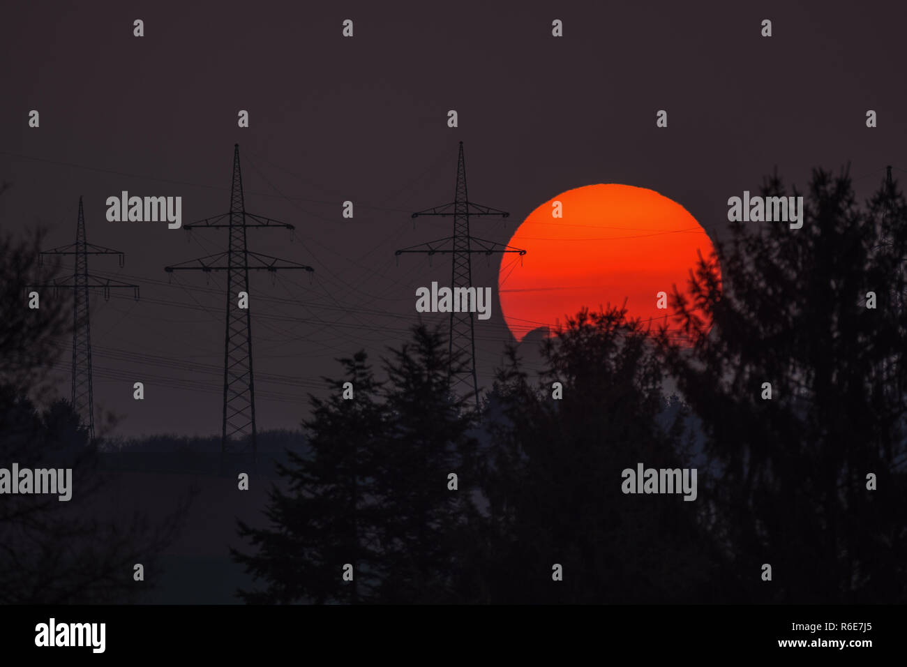 Sonnenuntergang rot hinter Bäumen neben Strommasten Stock Photo