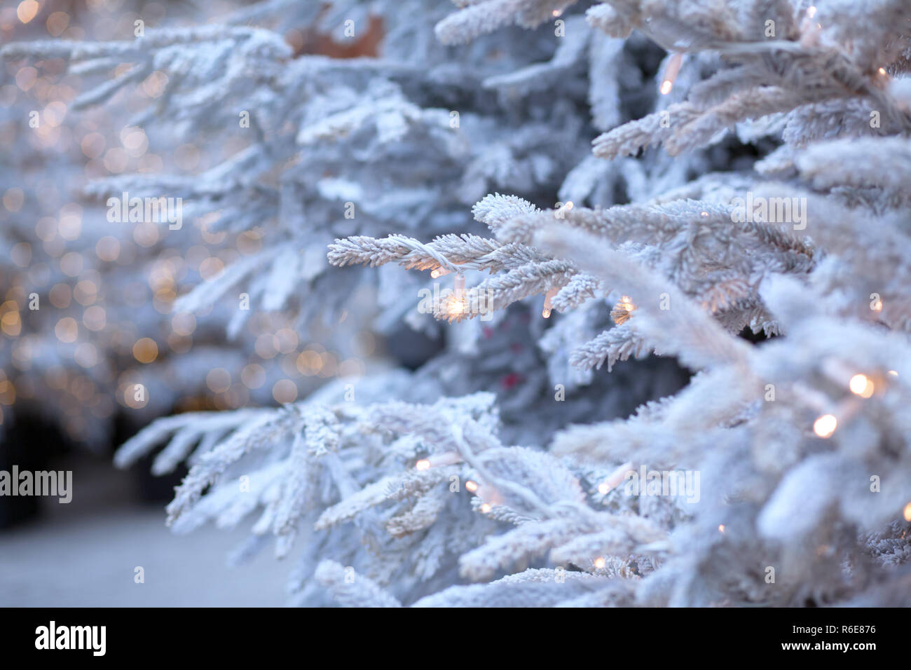 White Christmas tree with bokeh Stock Photo