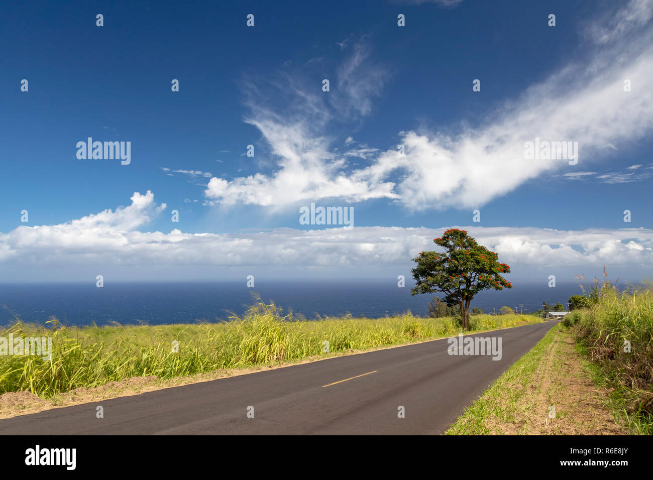 Pa'auilo, Hawaii - A rural road on the Big Island's Hamakua Coast above the Pacific Ocean. Stock Photo