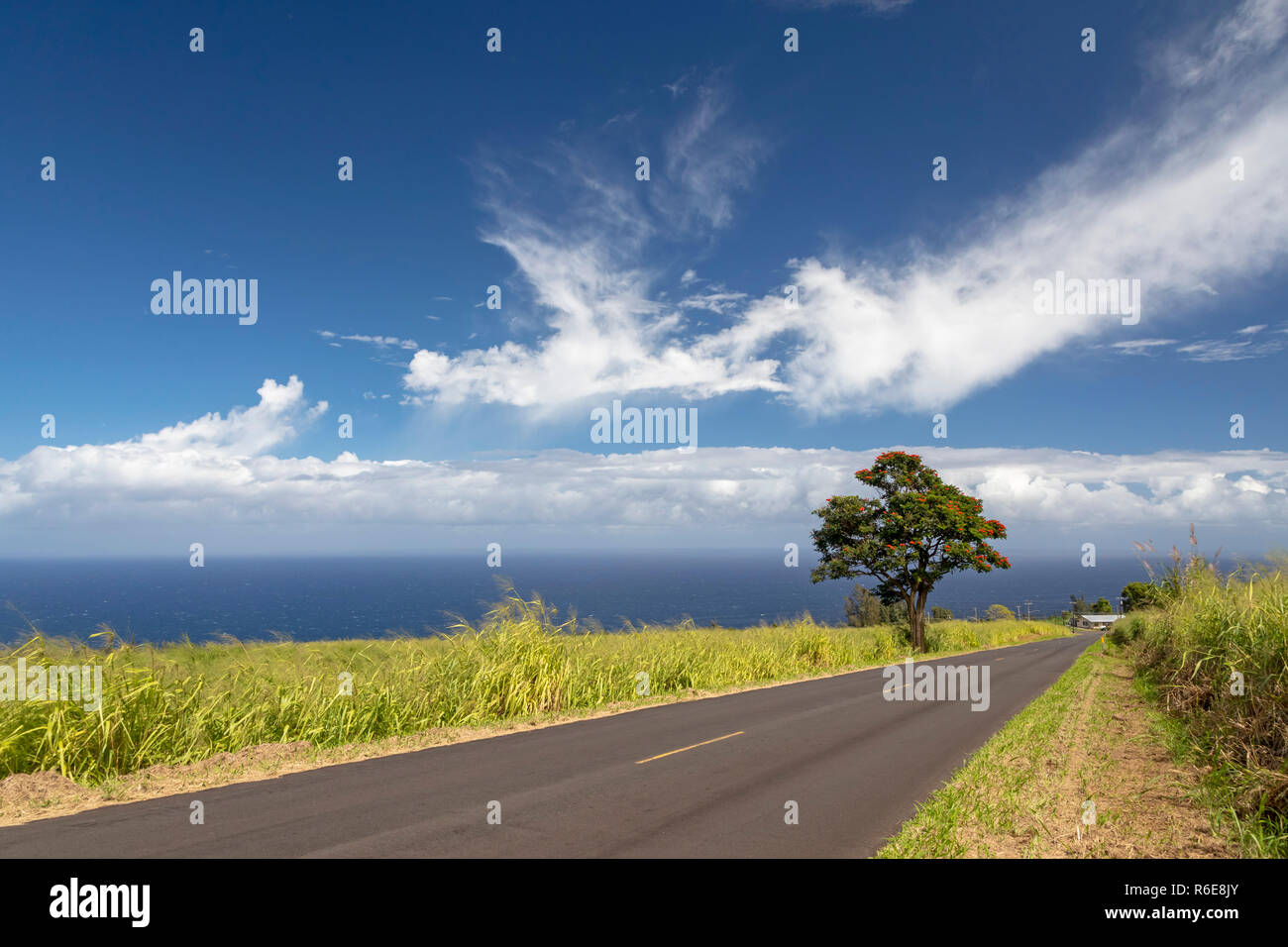 Rural hawaii hires stock photography and images Alamy