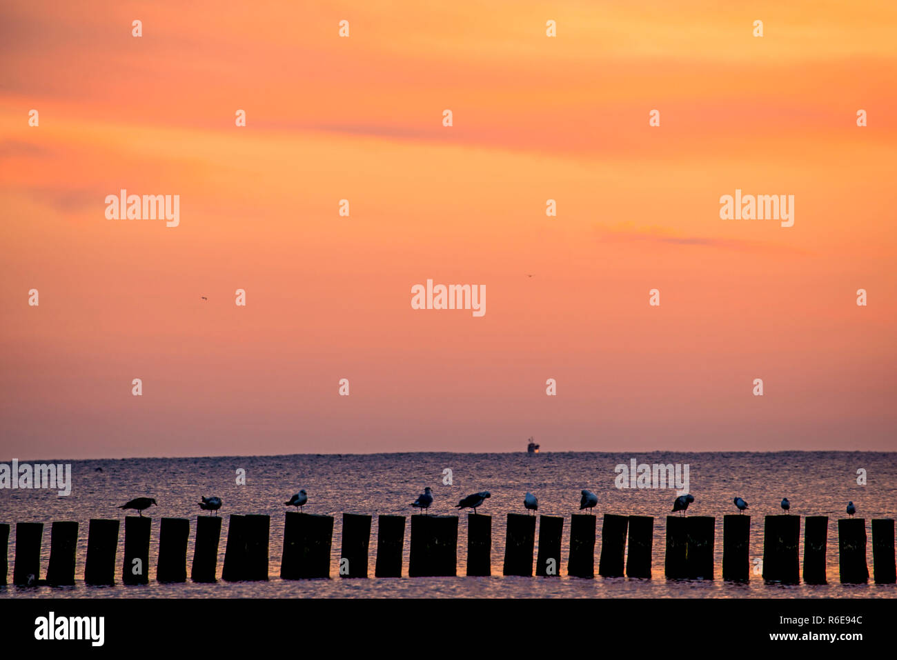 Sunrise Over The Baltic Sea With Groynes Stock Photo - Alamy