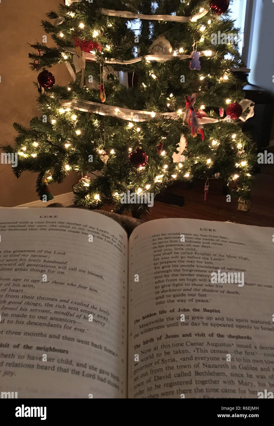 Reading the Bible in front of a Christmas tree. Christian Christmas, Jesus Christ is born Stock Photo