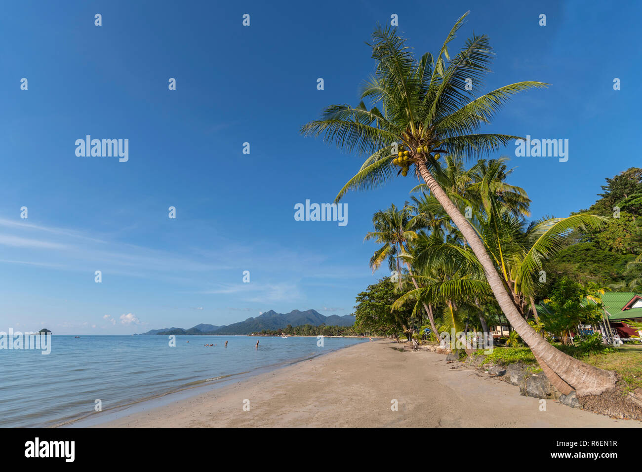 Beachside With Coconut Tree, Koh Chang, Thailand Stock Photo