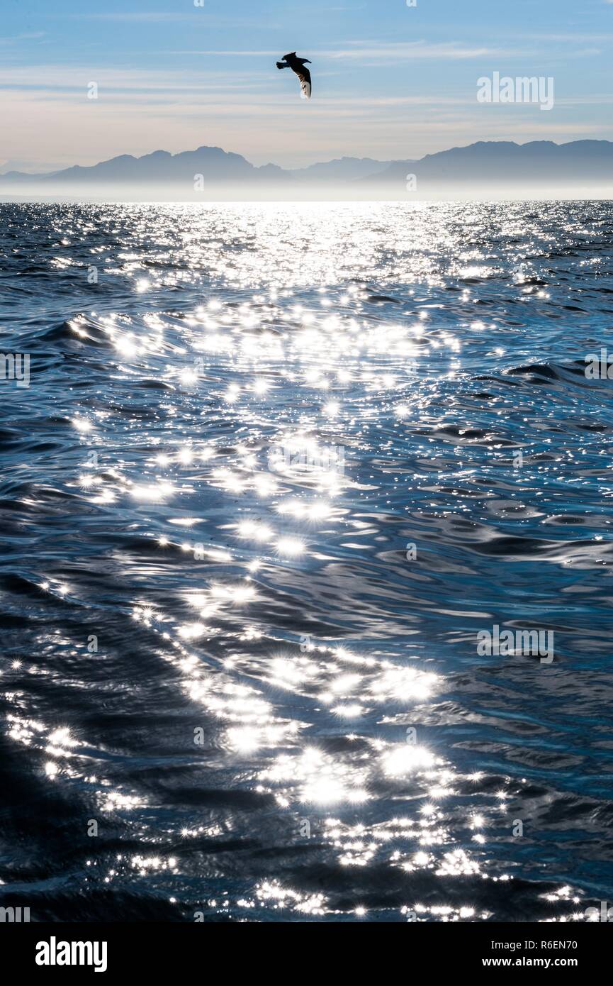 Shining sun reflection in sea. Sunlight reflection on sea surface. View of  Atlantic ocean at coast of South Africa Stock Photo
