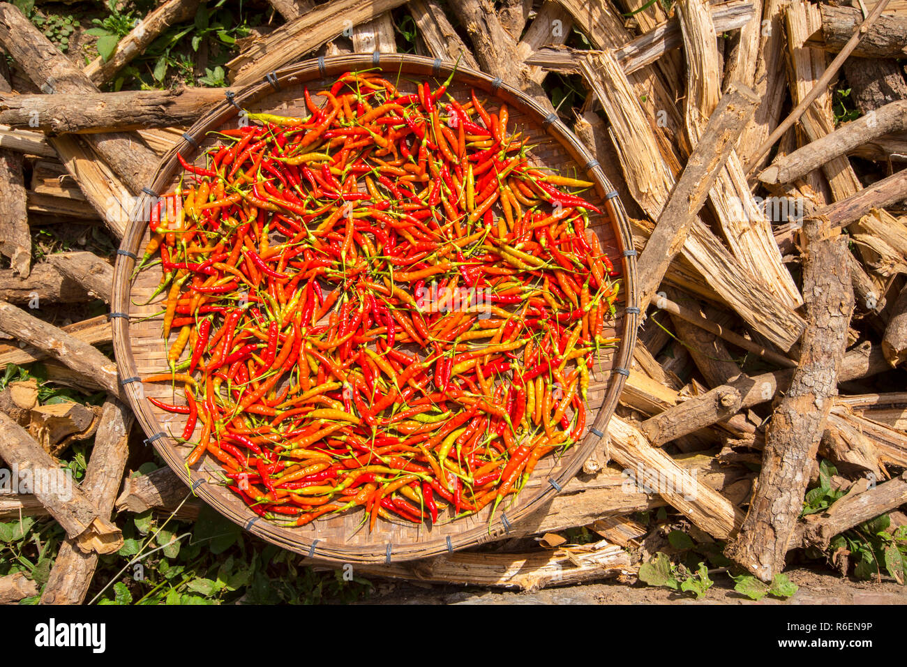 Red Chili Near Luang Prabang In Lao Stock Photo