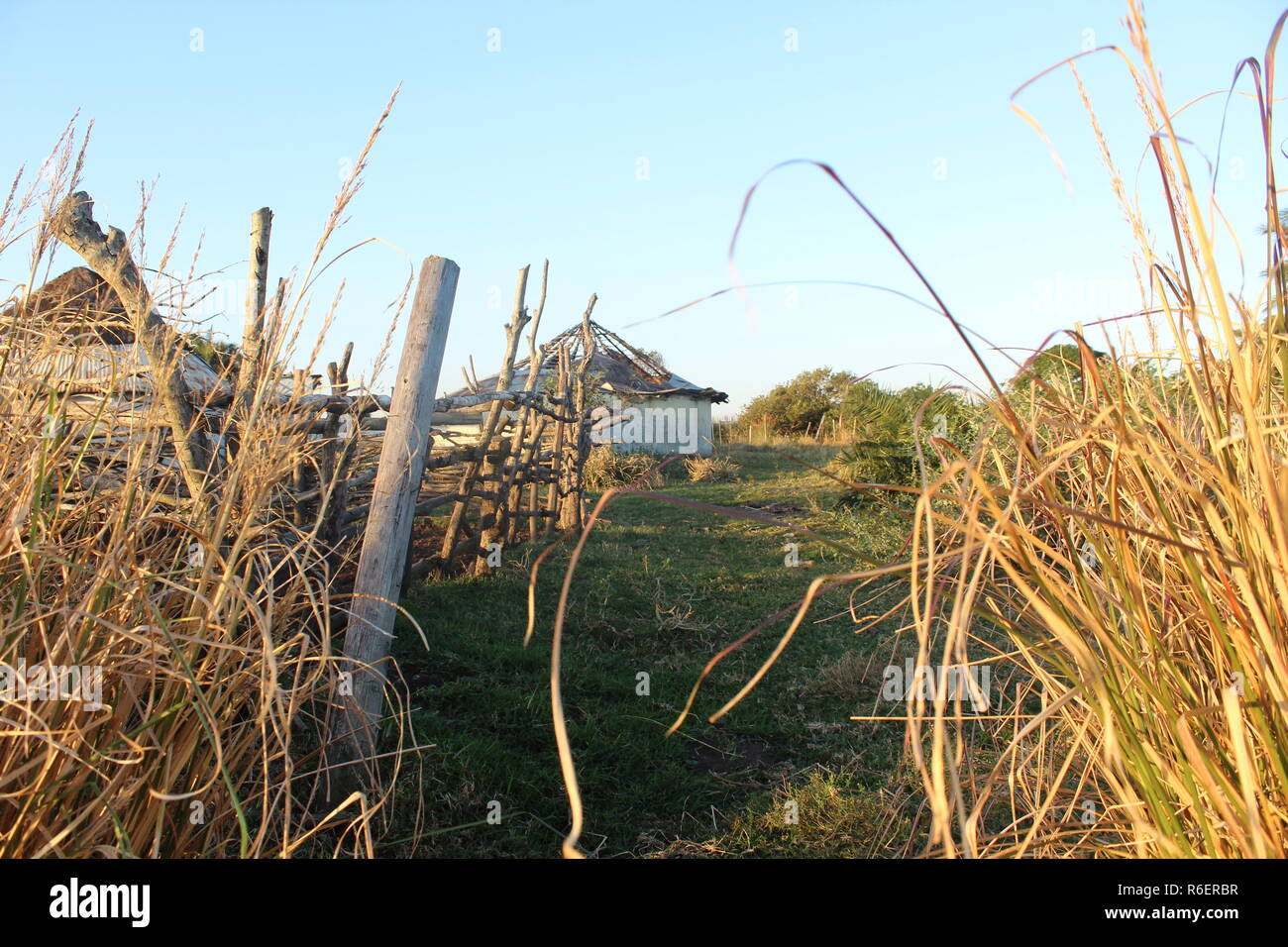 rural hut in South Africa Stock Photo