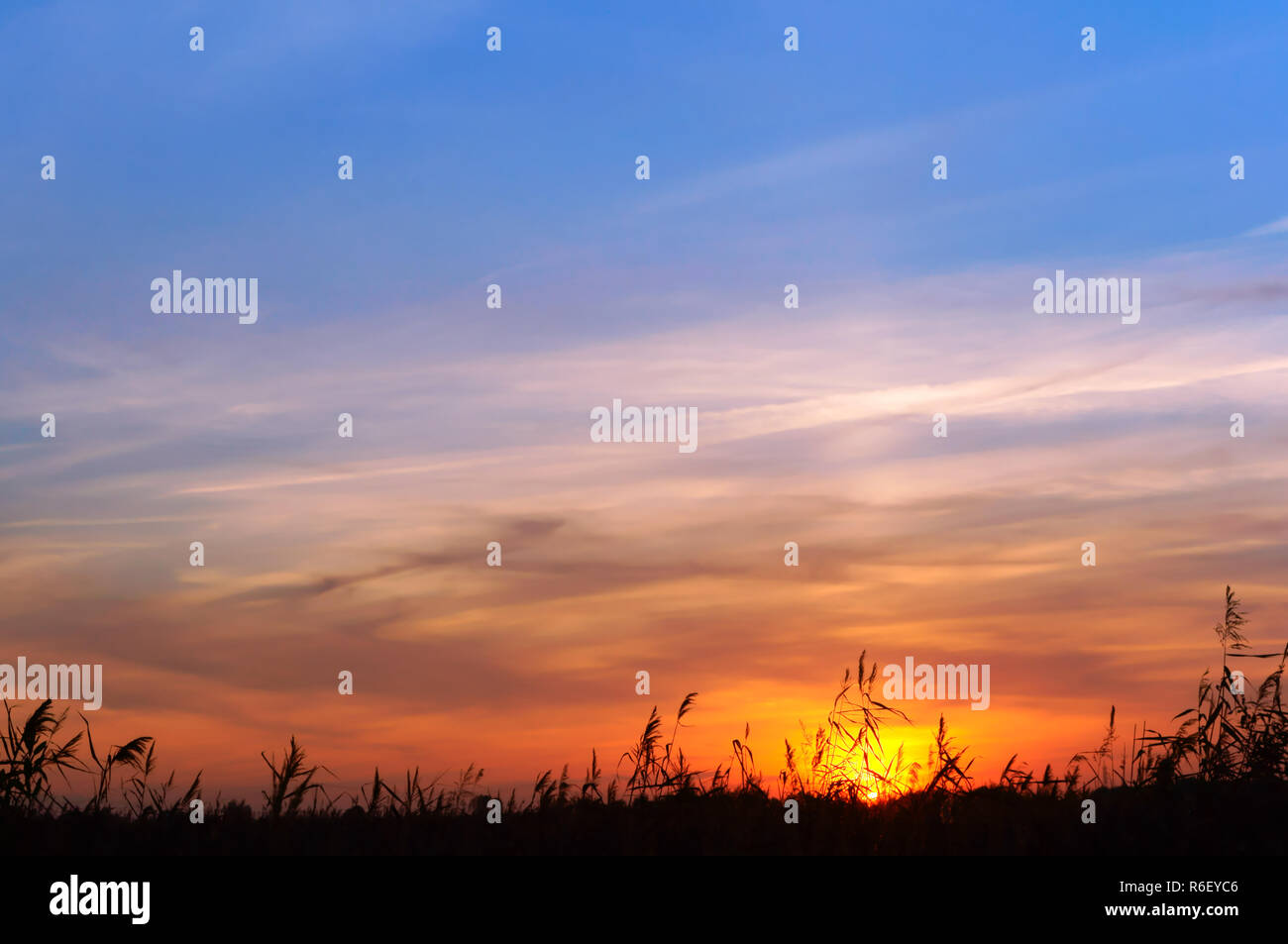 Pink purple sunrise over ocean hi-res stock photography and images - Alamy