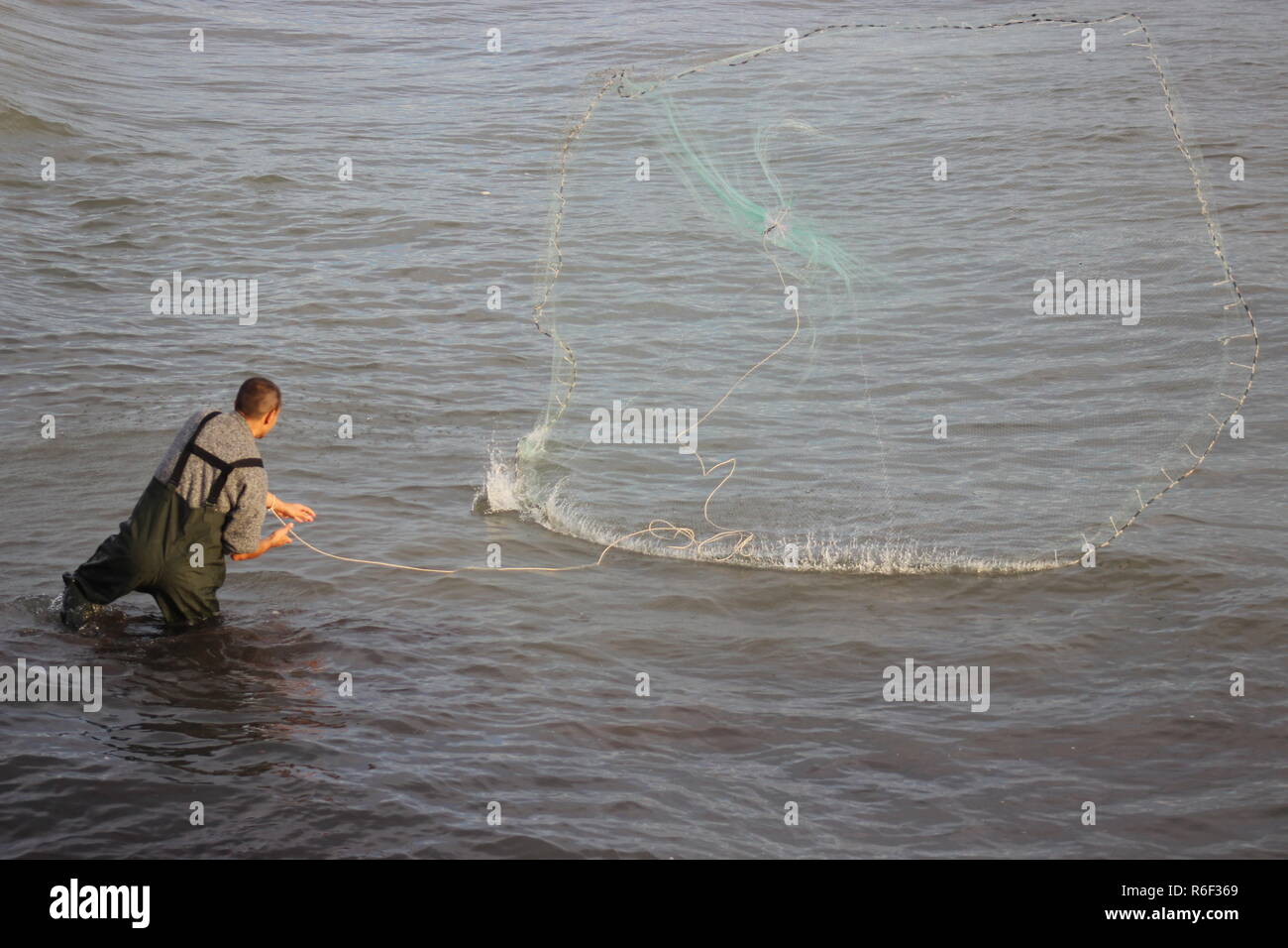 Fishing by a sprinkler net.A fisherman fishing by a sprinkler net in ...