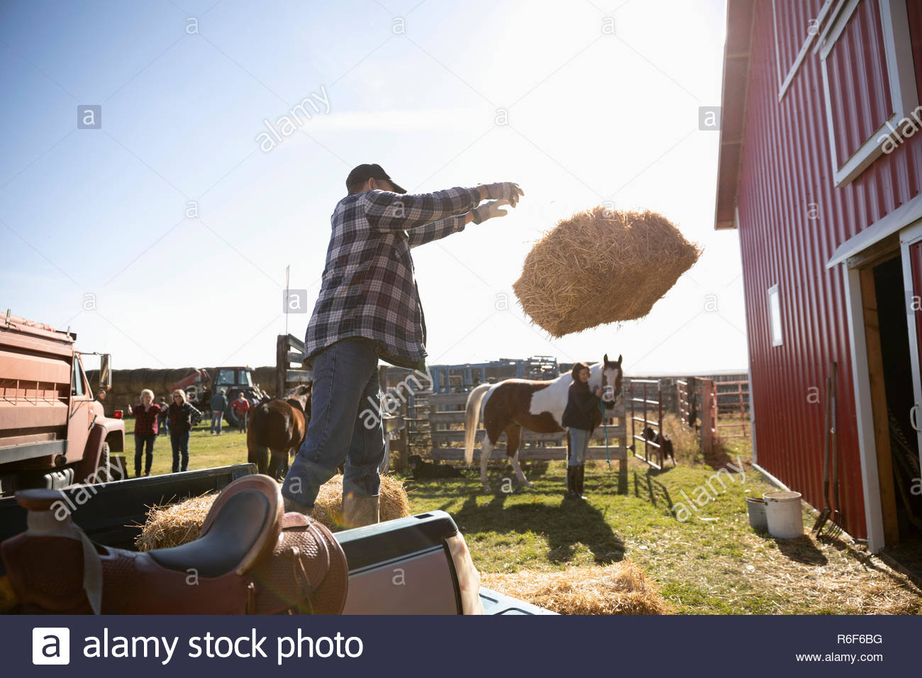 Farmer throwing hay bale hires stock photography and images Alamy