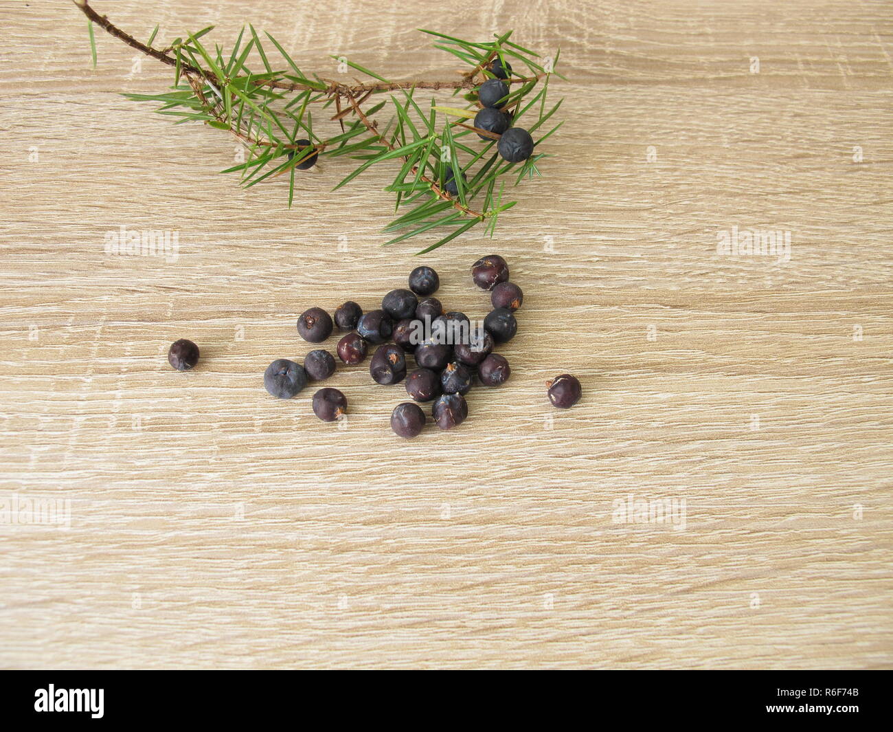 dried juniper berries and a juniper berry Stock Photo Alamy