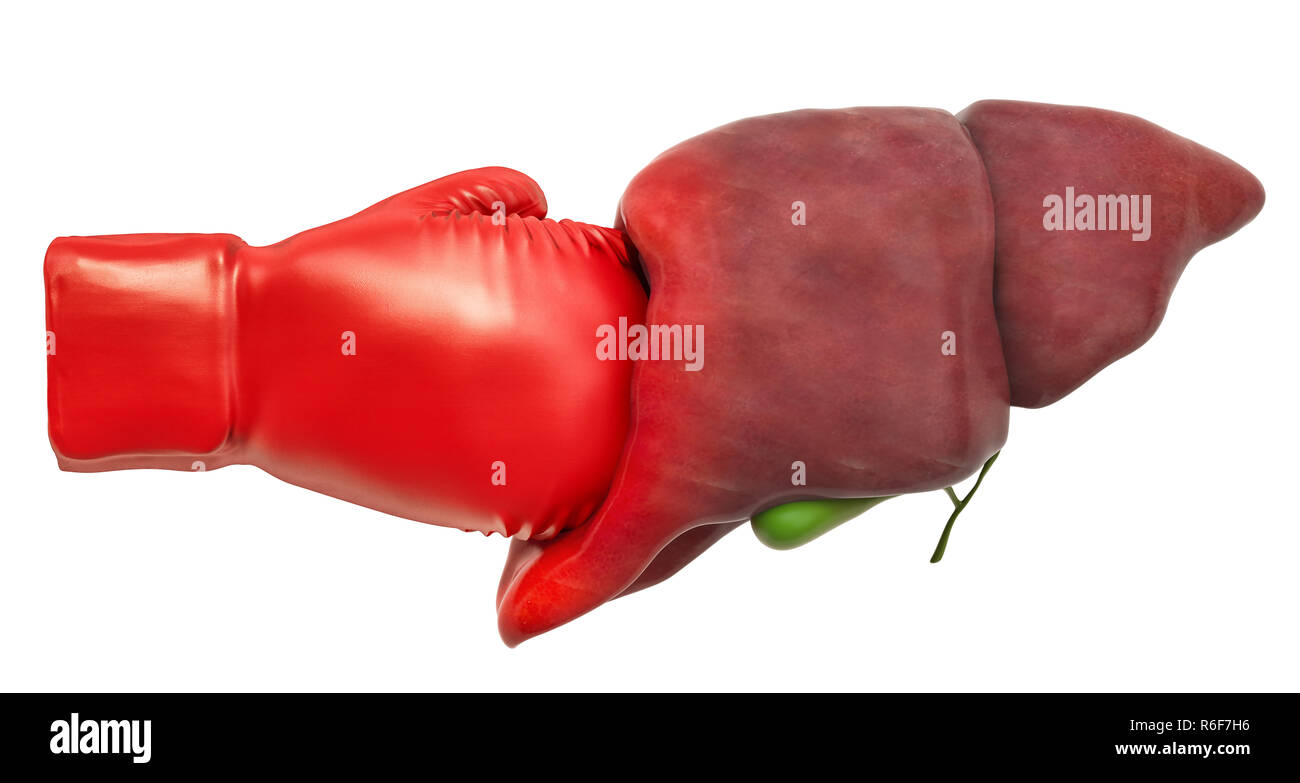 Pain in liver, liver disease concept. Human liver with boxing glove. 3D rendering isolated on white background Stock Photo