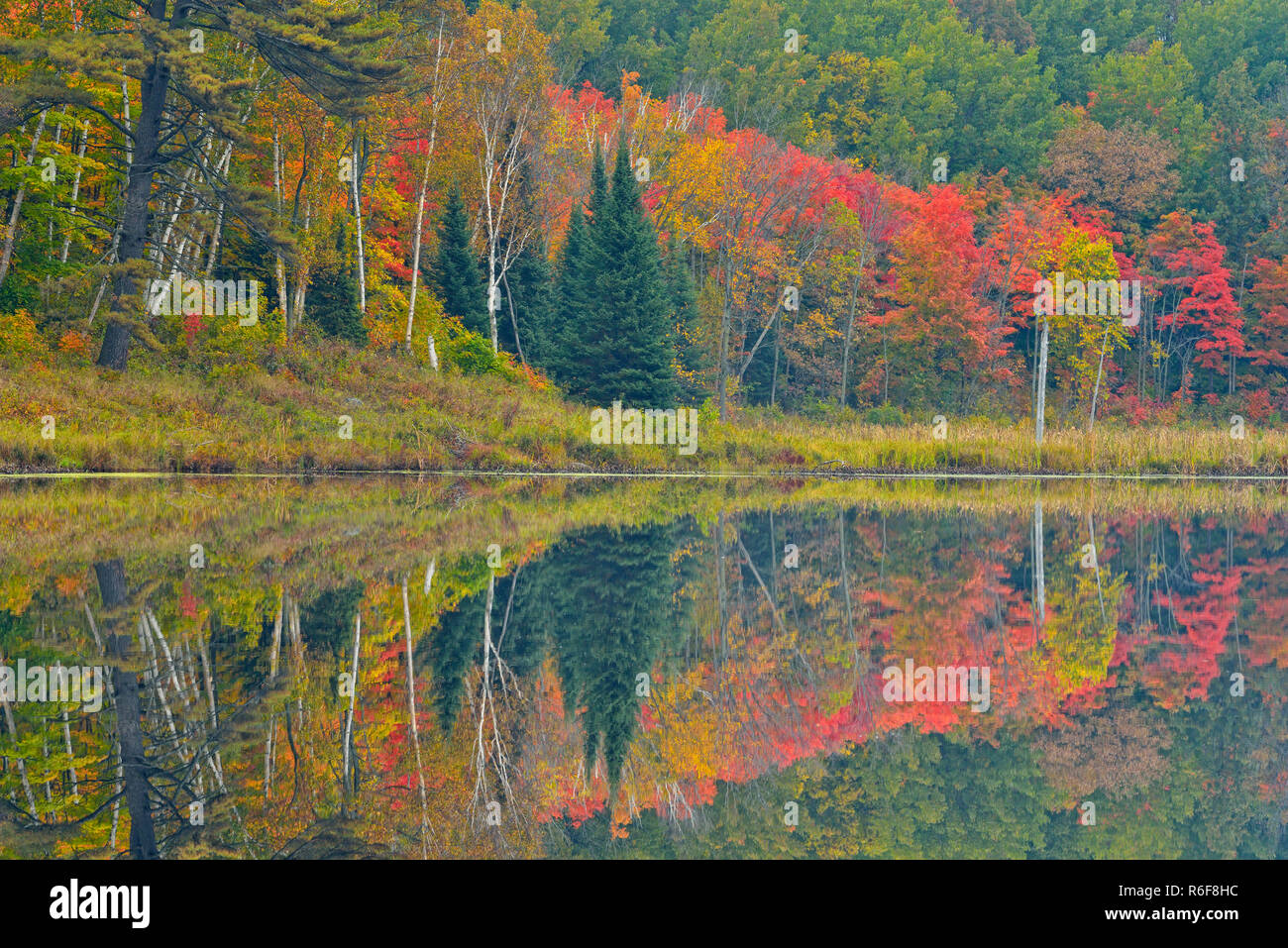 Reflection henvey inlet hi-res stock photography and images - Alamy