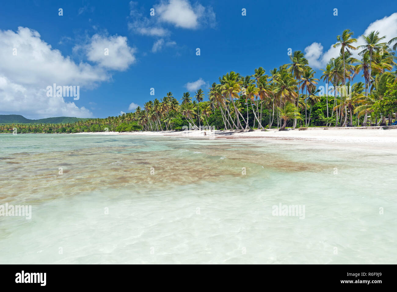 America caribbean sea hispaniola island hi-res stock photography and ...