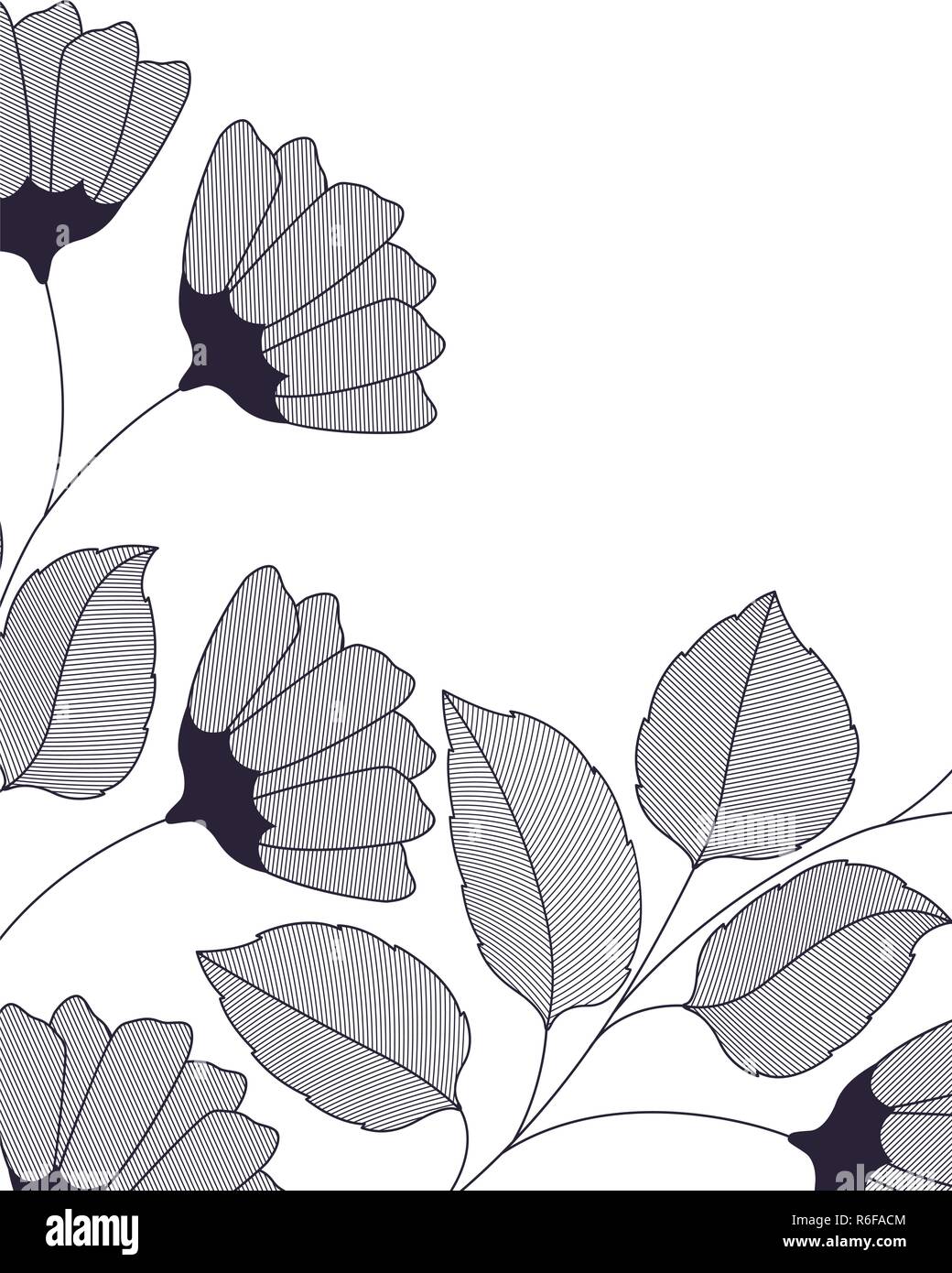 frame with flowers and leaves isolated icon Stock Vector Image & Art ...