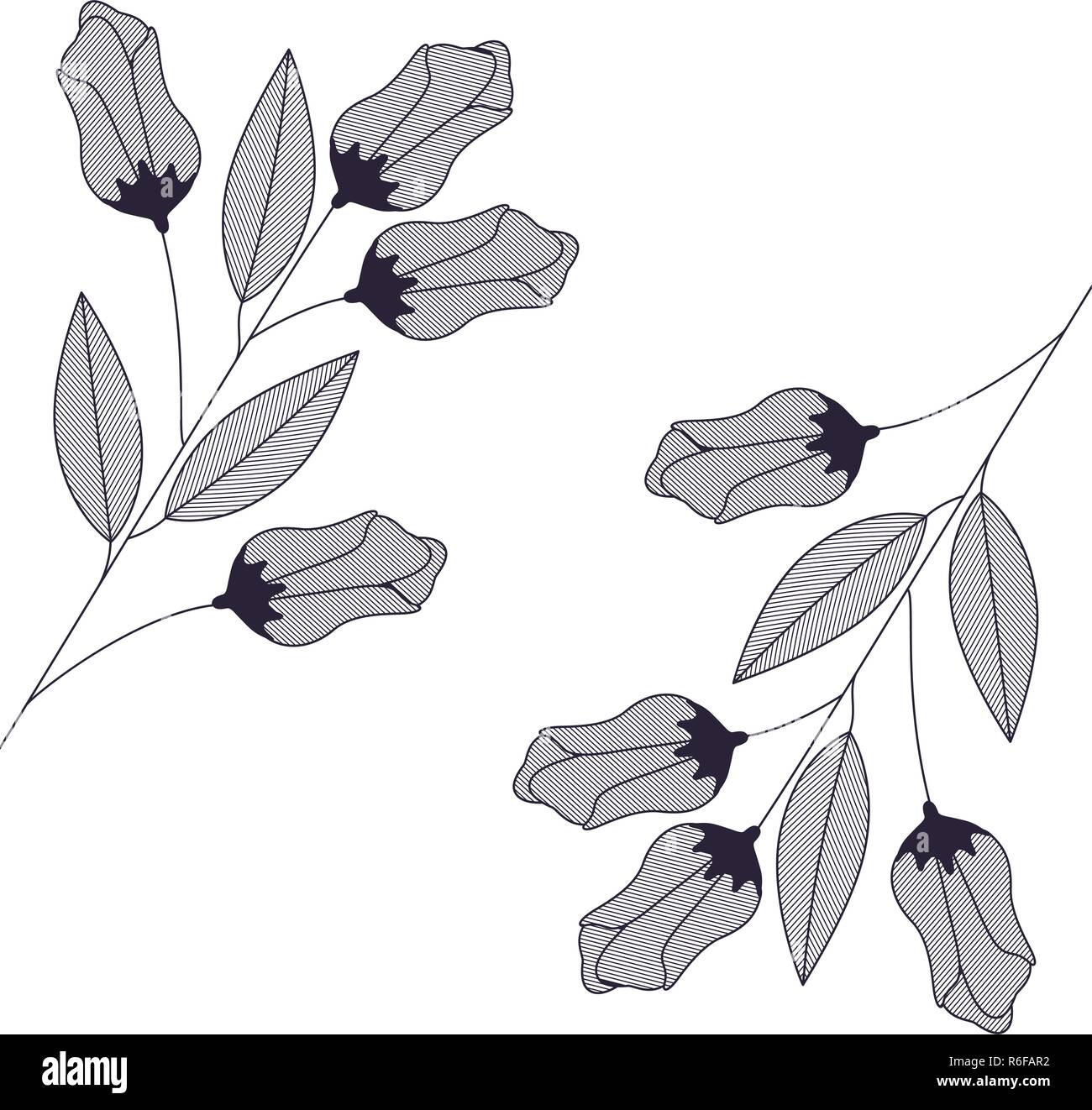 flowers and leaves isolated icon Stock Vector Image & Art - Alamy