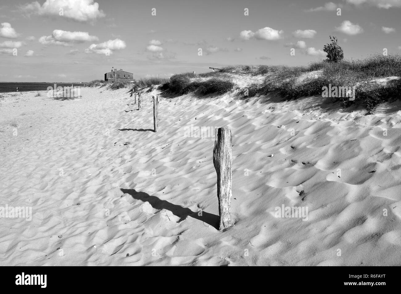 beach on the baltic sea Stock Photo - Alamy