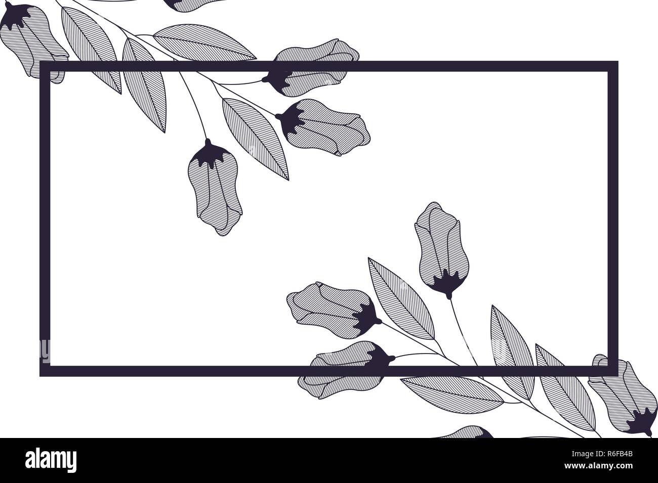 frame with flowers and leaves isolated icon Stock Vector Image & Art ...