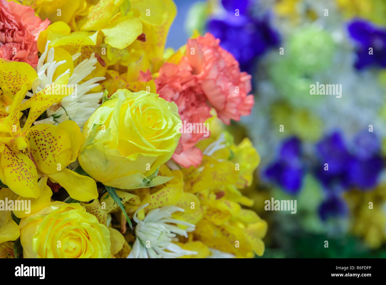 Beautiful bouquet flowers with different types of yellow flowers Stock Photo