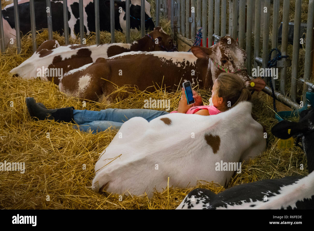 Lebanon county fair Pennsylvania Stock Photo Alamy