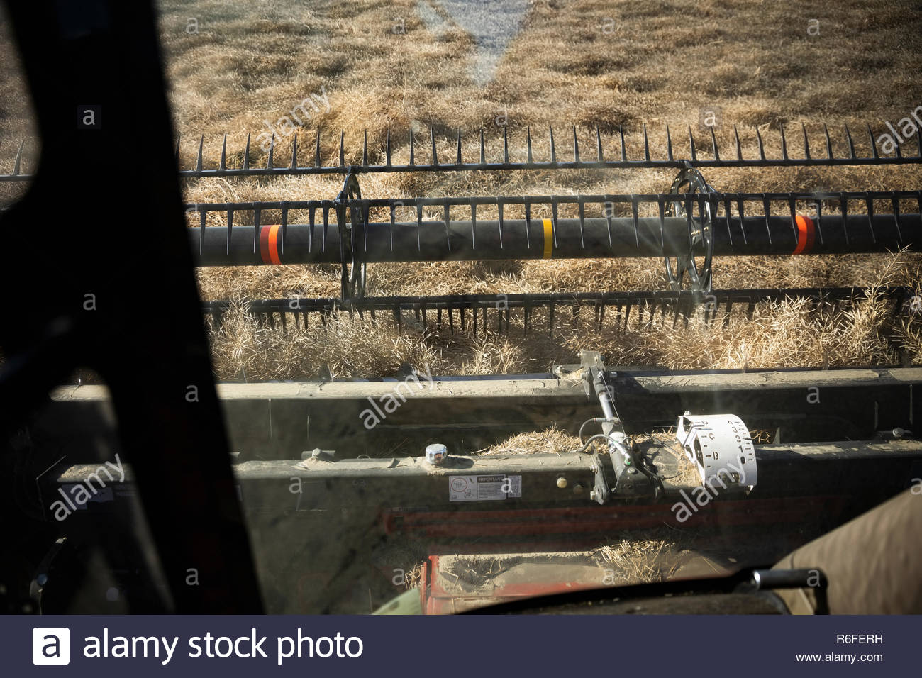 Point of view combine harvester harvesting crop Stock Photo