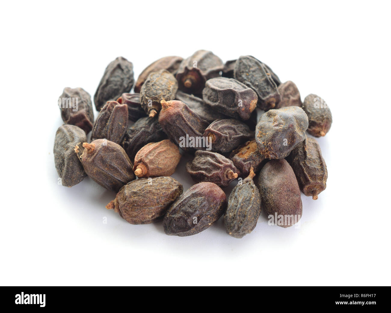 Dried NEEM Fruit with SEEDS, NIMODI (Azadirachta indica) isolated on white background. Stock Photo