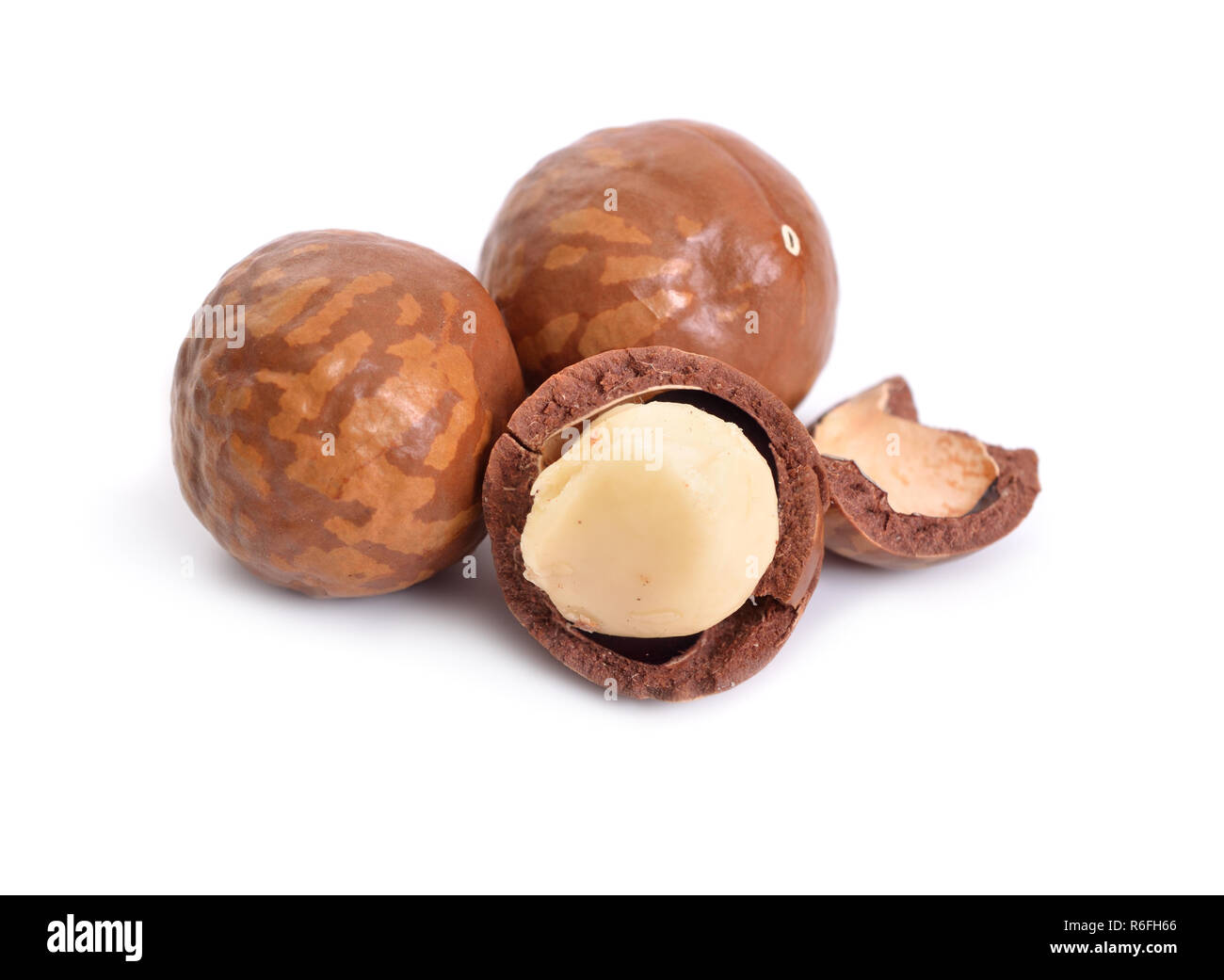Macadamia nuts isolated on white background. Stock Photo