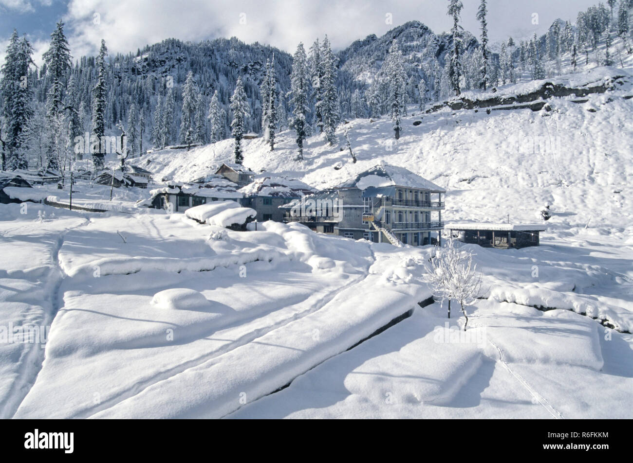 Manali Photos, Download The BEST Free Manali Stock Photos & HD Images