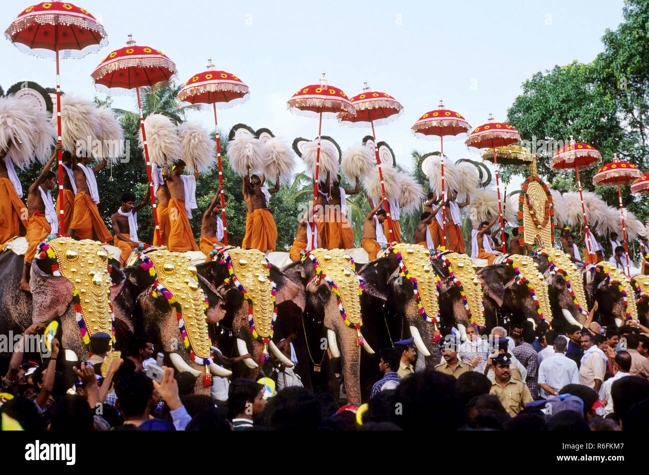 Trichurpooram pooram, Elephant March Festival, Kerala, India Stock Photo