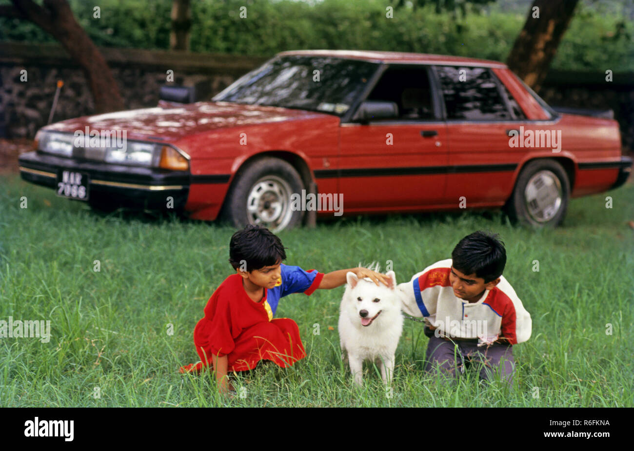 children playing with pomeranian dog, NO MR Stock Photo