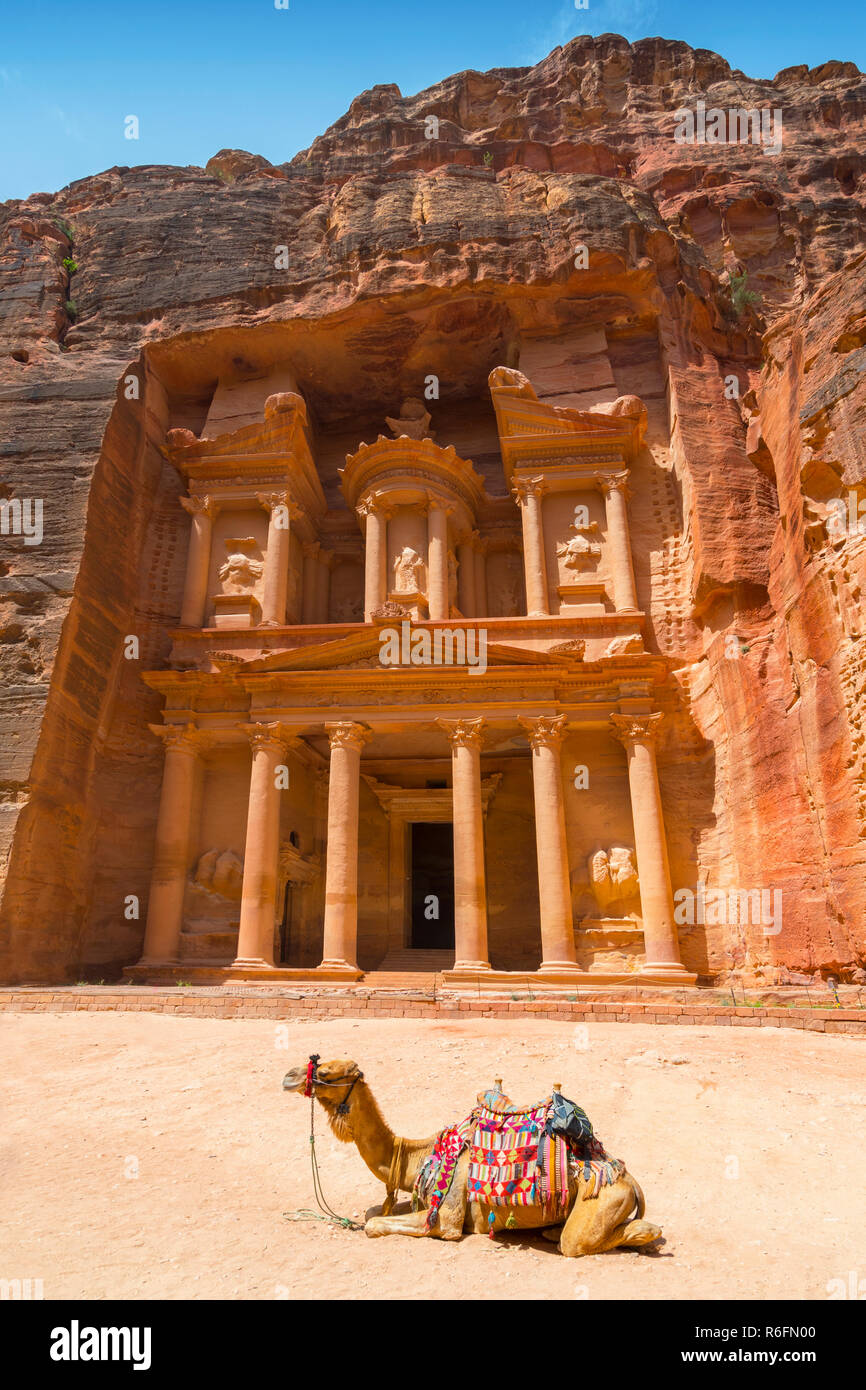 Camel Used By Local Guides For Tourists Entertainment And Transport In Front Of The Treasury, A Famous Landmark In Petra, Jordan Stock Photo
