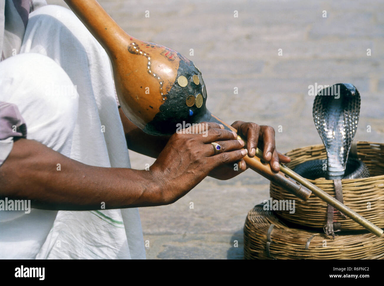 Snake Charmer playing pungi in front of snake Stock Photo