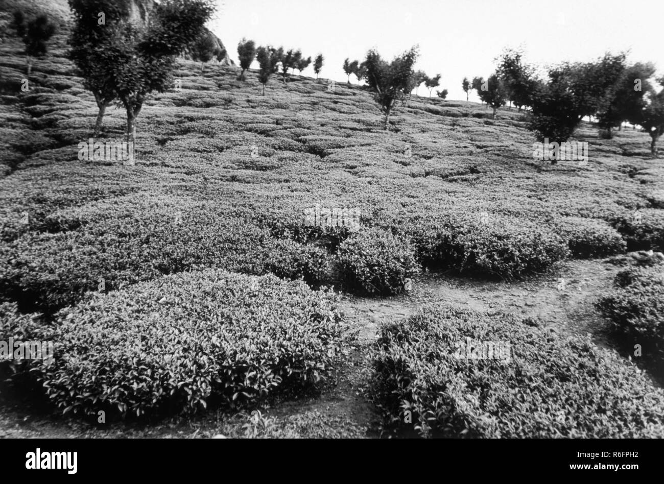 Ooty india Black and White Stock Photos & Images - Alamy