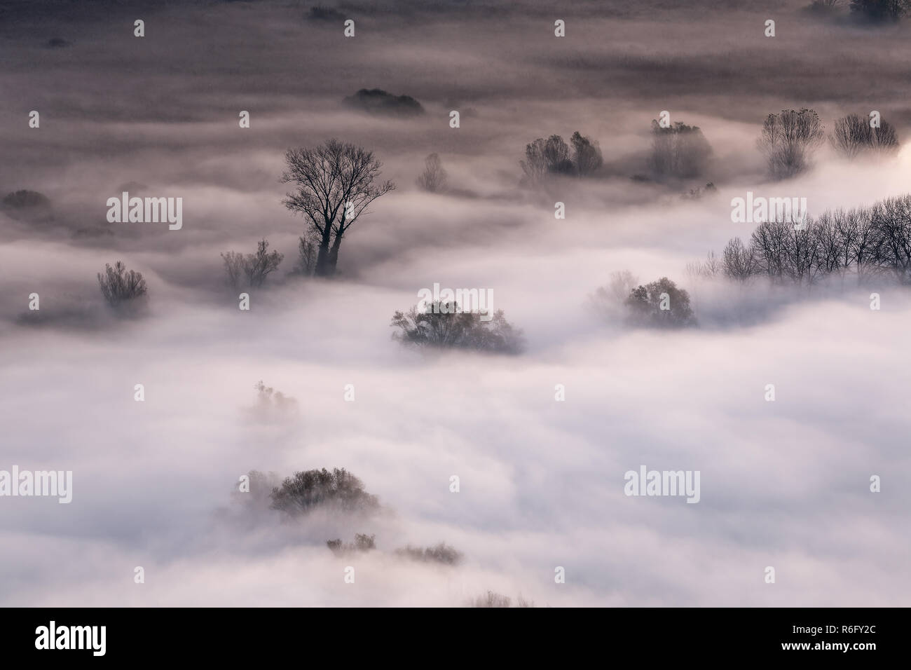 sunrise landscape with fog over the river Stock Photo - Alamy