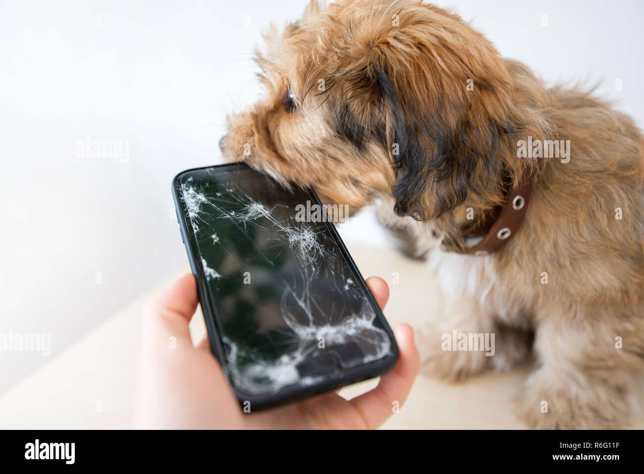 Broken and damaged smartphone with cracks on glass screen next to ...