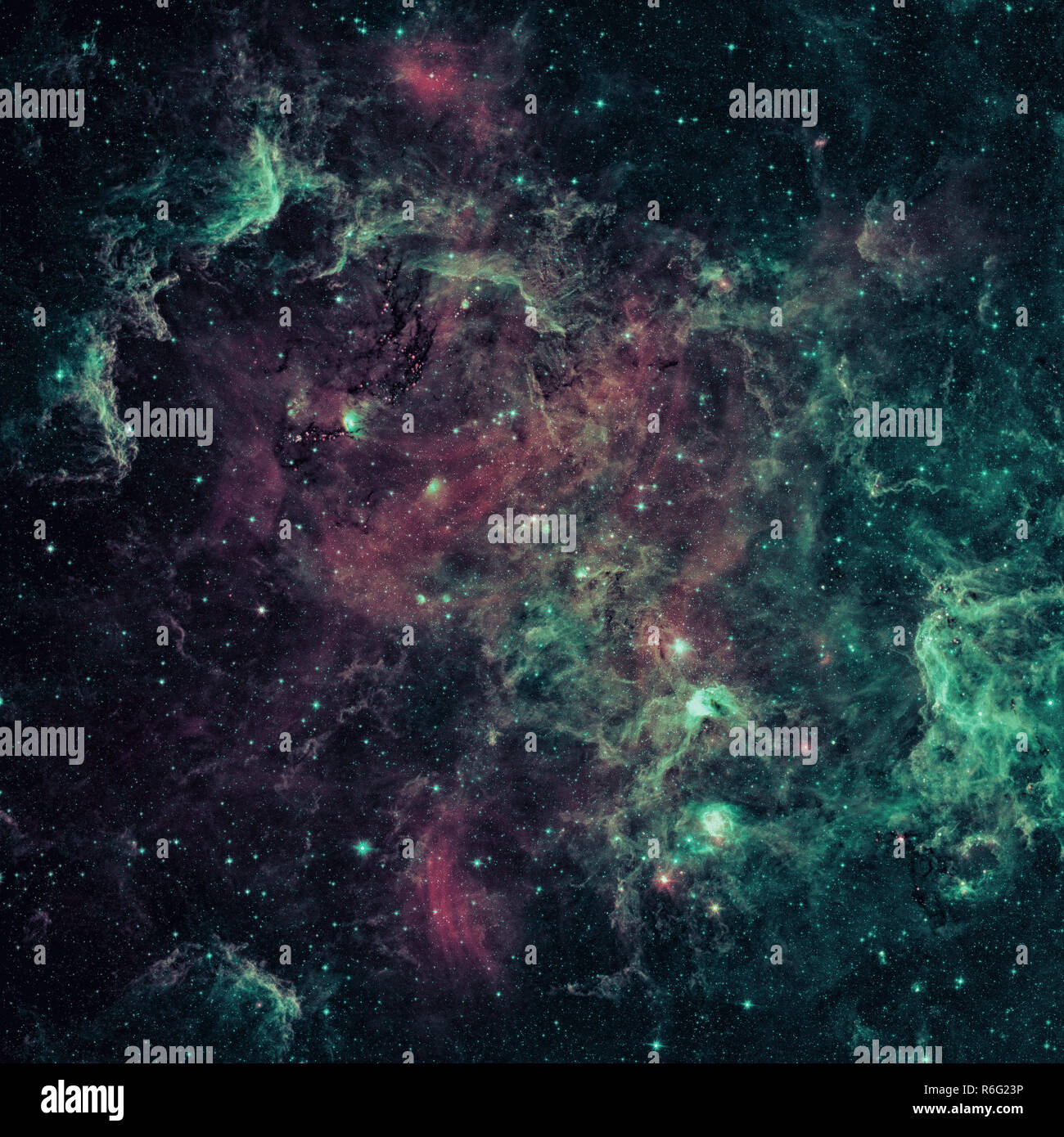 The North America nebula in the constellation Cygnus Stock Photo