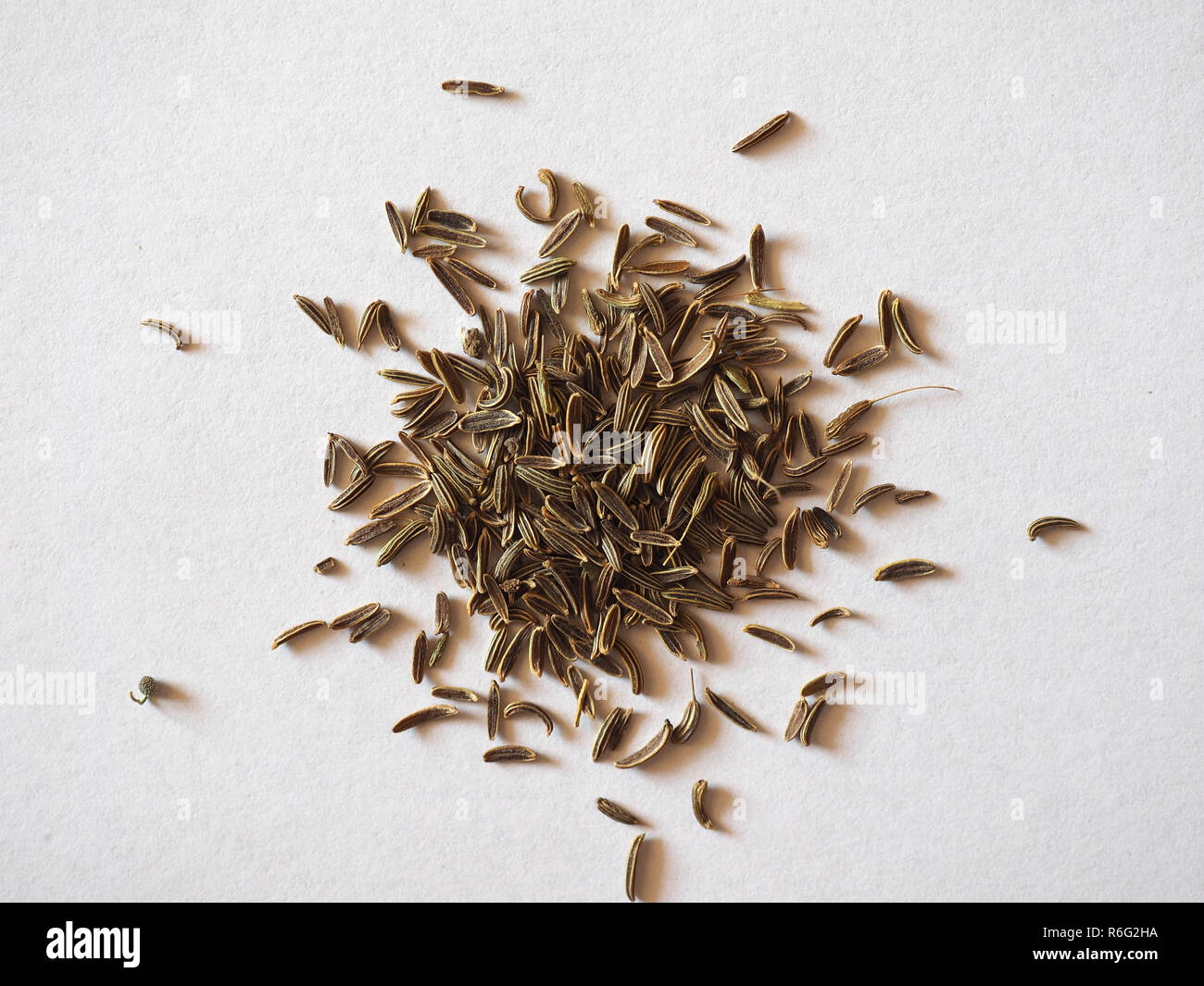 Black Cumin (Bunium bulbocastanum) seeds Stock Photo