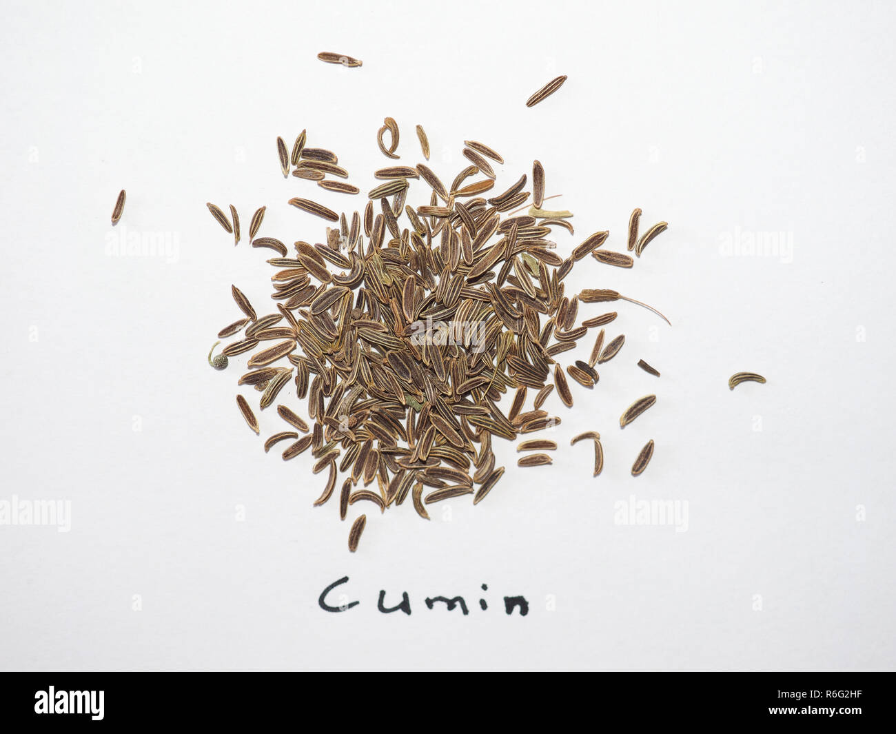 Black Cumin (Bunium bulbocastanum) seeds Stock Photo