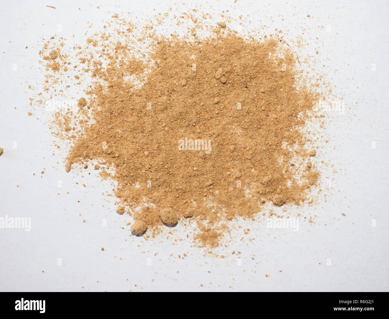 Ginger (Zingiber officinale) powder Stock Photo Alamy
