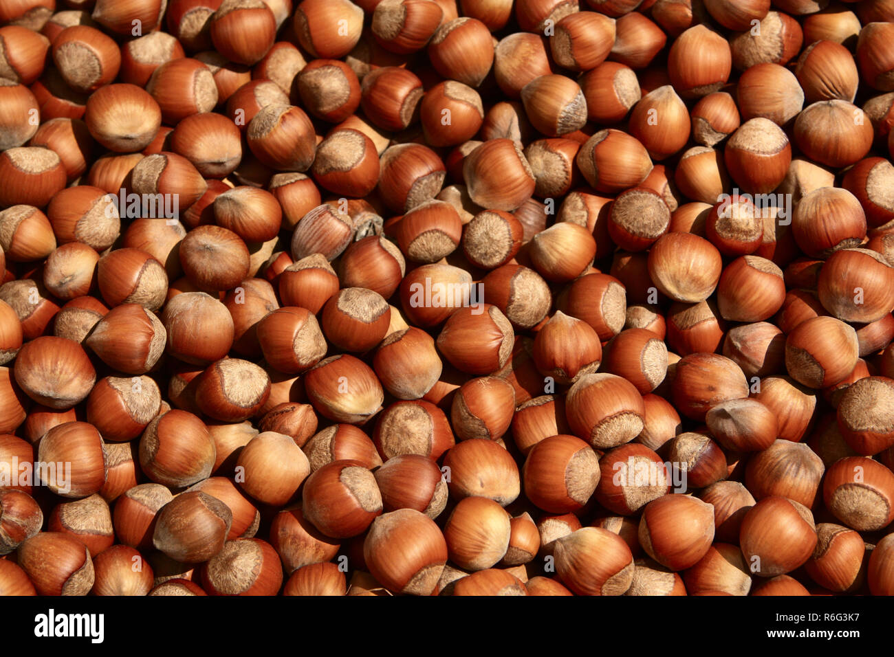 Group of hazelnuts food background texture Stock Photo Alamy